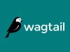 Understanding Wagtail A Brief Overview