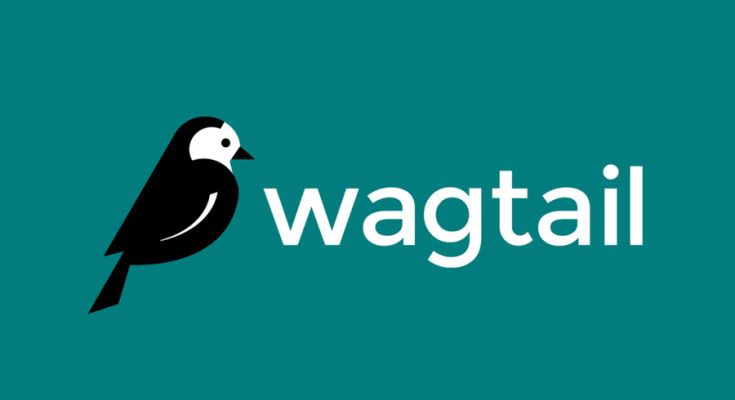 Understanding Wagtail A Brief Overview