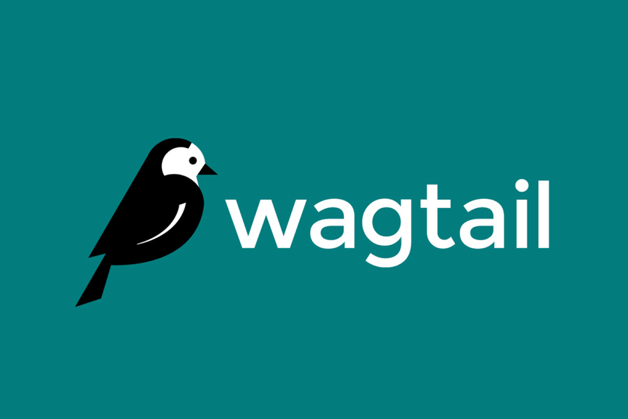 Understanding Wagtail: A Brief Overview